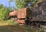 Ex NDEM ALCO 4-8-4 Niagara 3028 in weeds